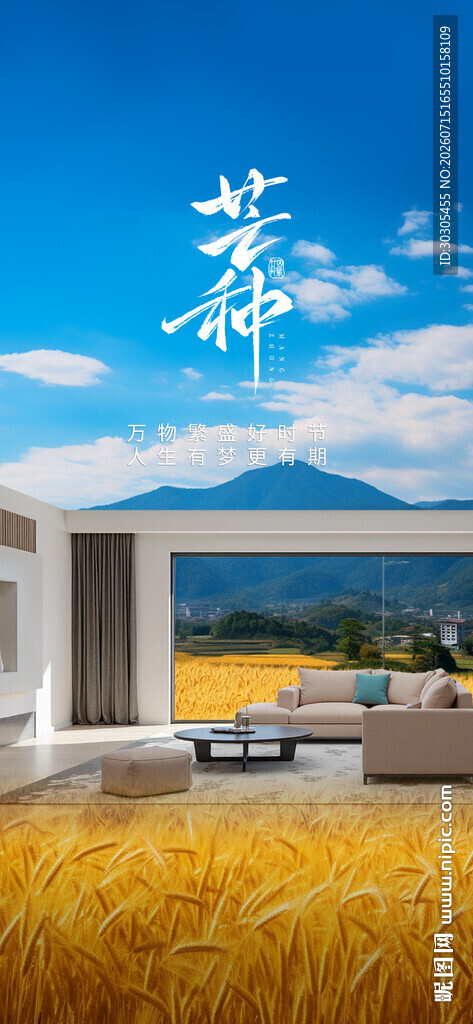 芒种门窗海报