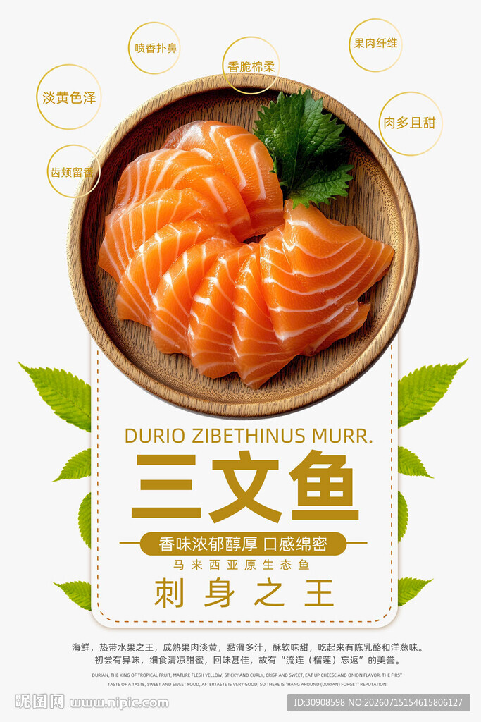 三文鱼