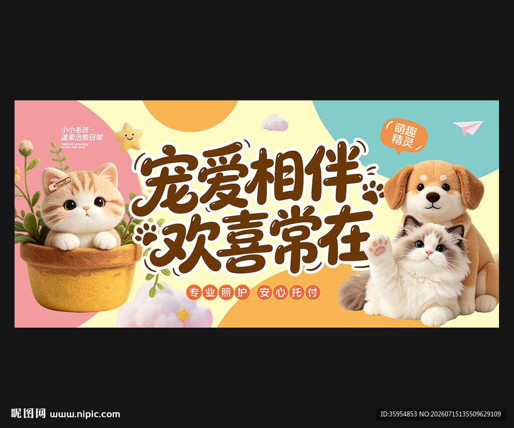 宠物