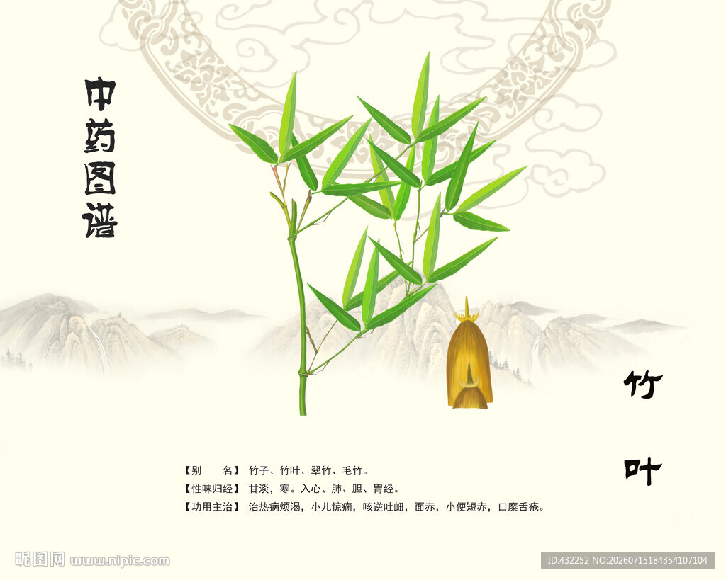 中药竹叶淡竹叶