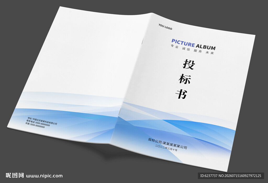 蓝色标书封面设计