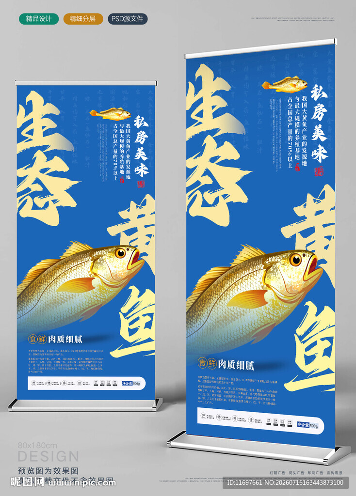 大黄鱼展架