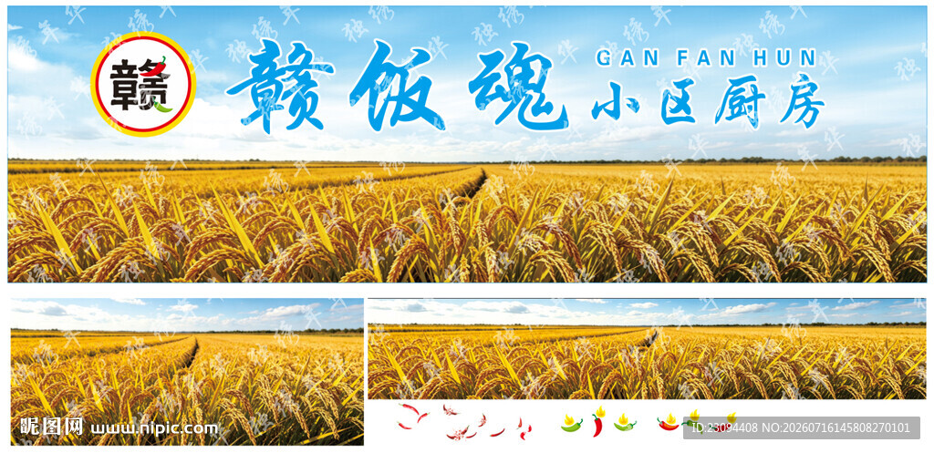 稻田