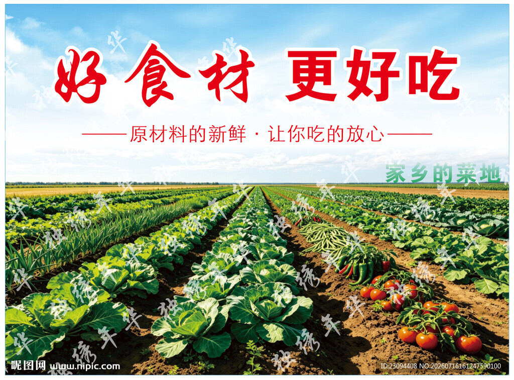 蔬菜园