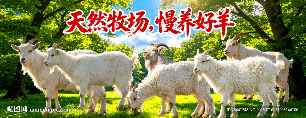 山羊海报