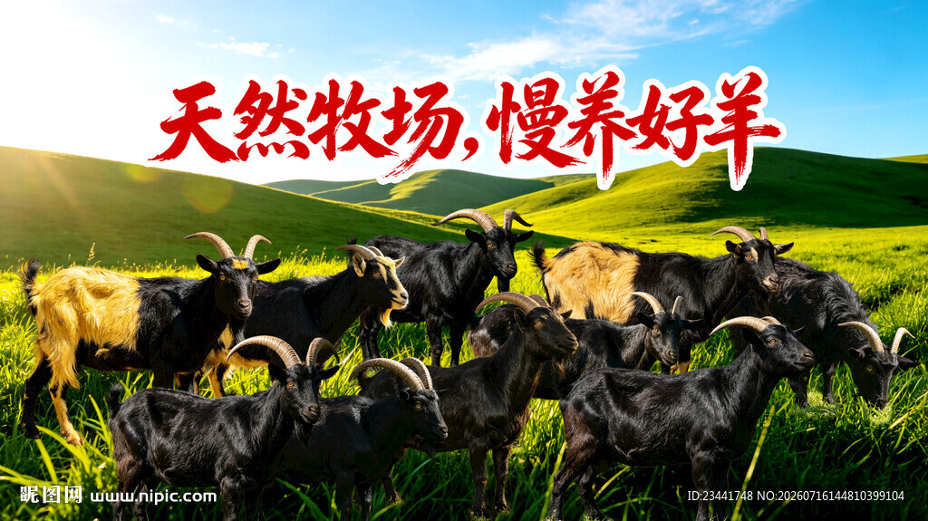 放养山羊  