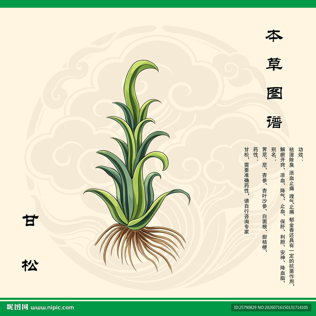 本草甘松