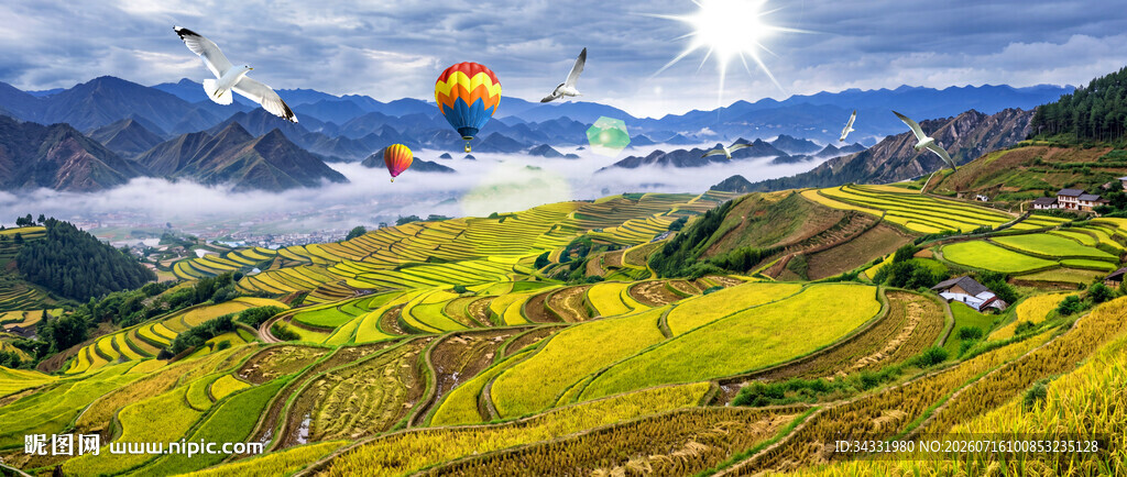 梯田风景画
