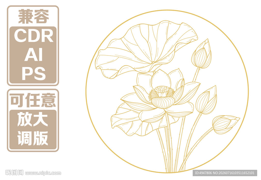 金色荷花矢量图案设计 矢量图
