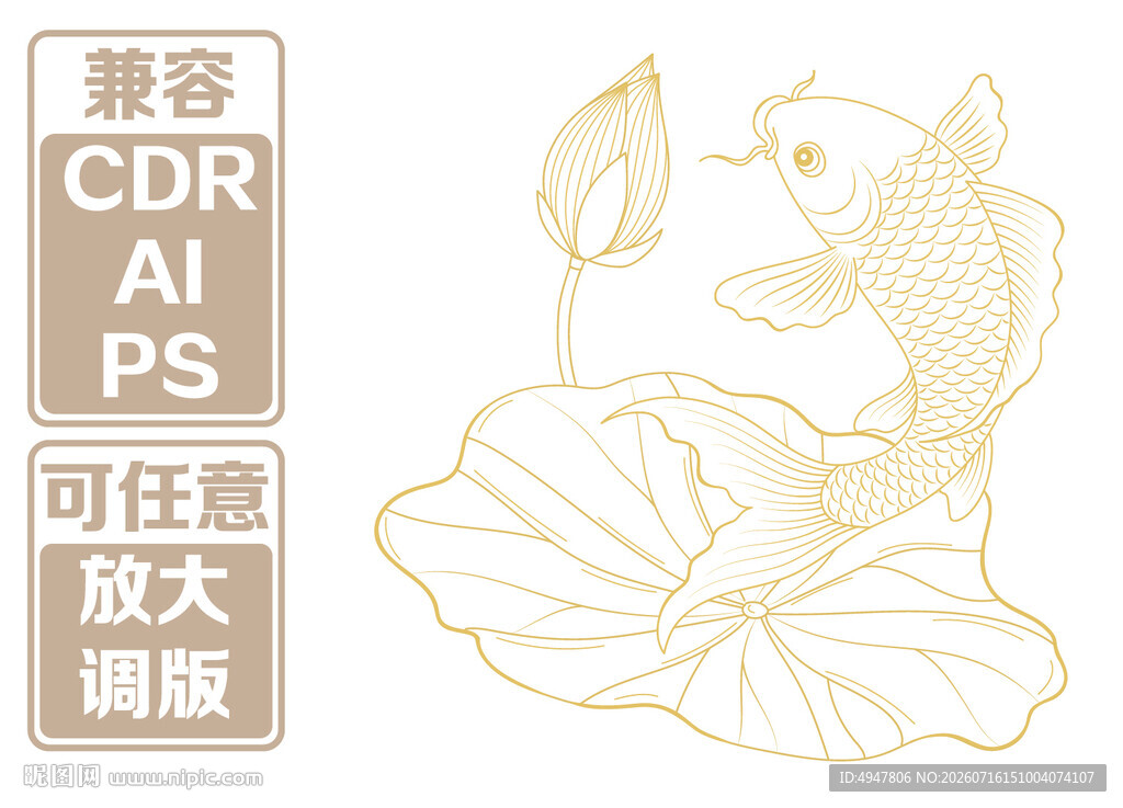 金色荷花锦鲤 矢量