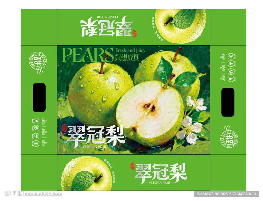 油画翠冠梨包装平面展开图