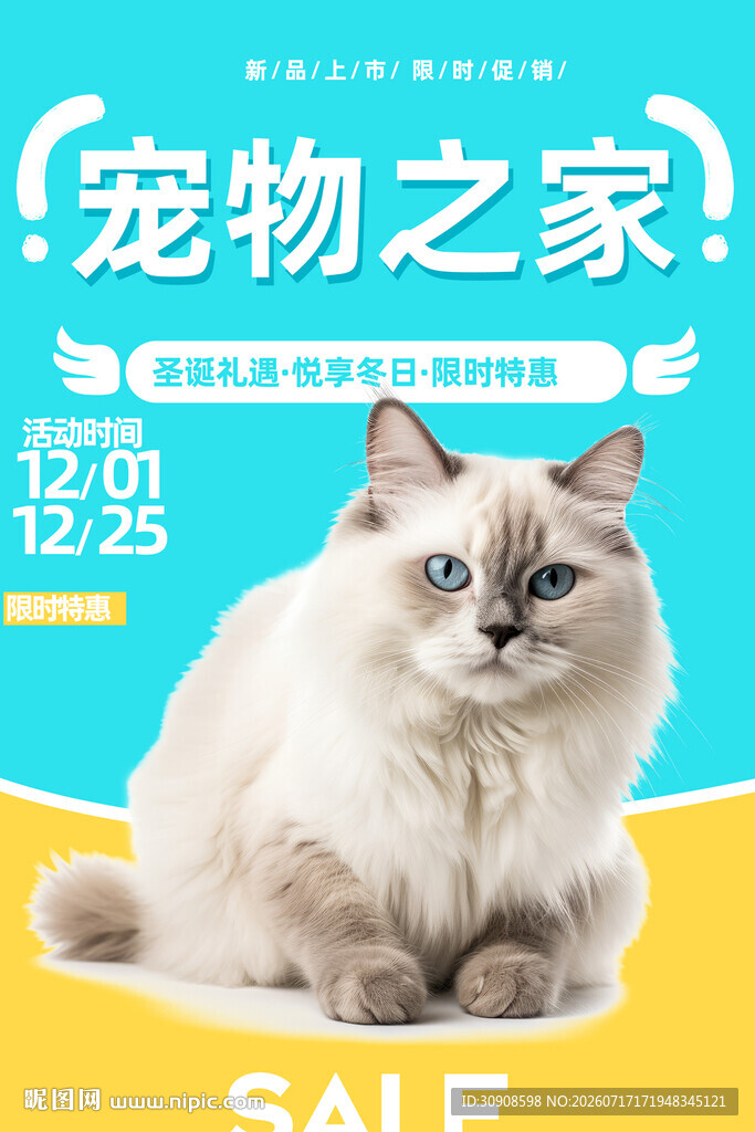 宠物