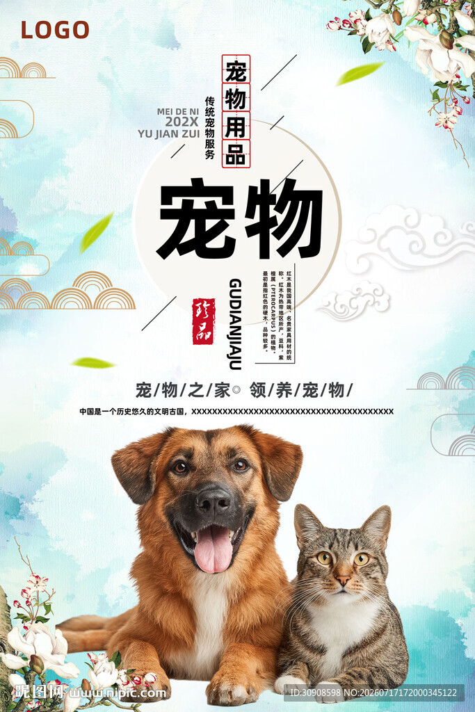 宠物