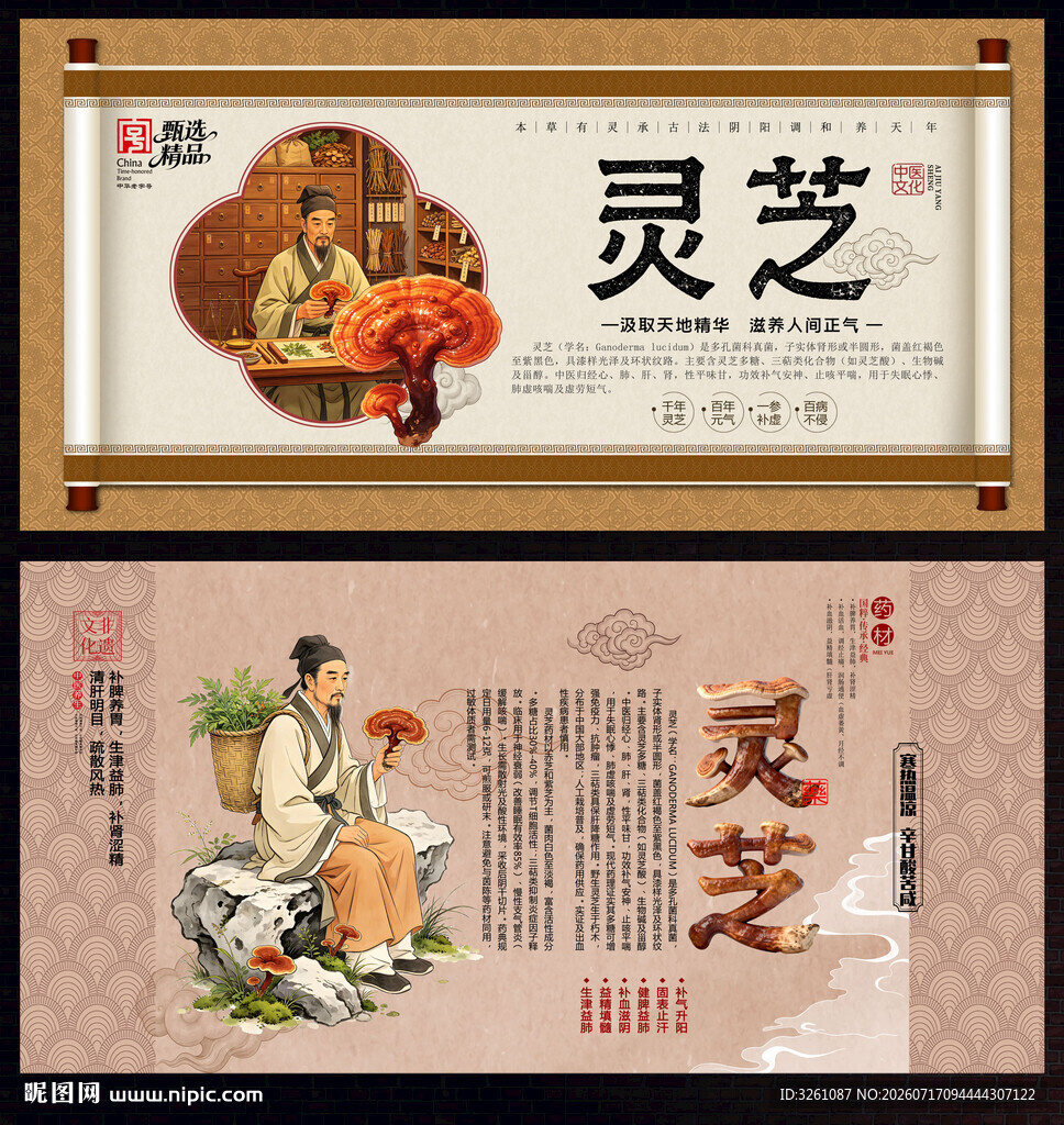 灵芝