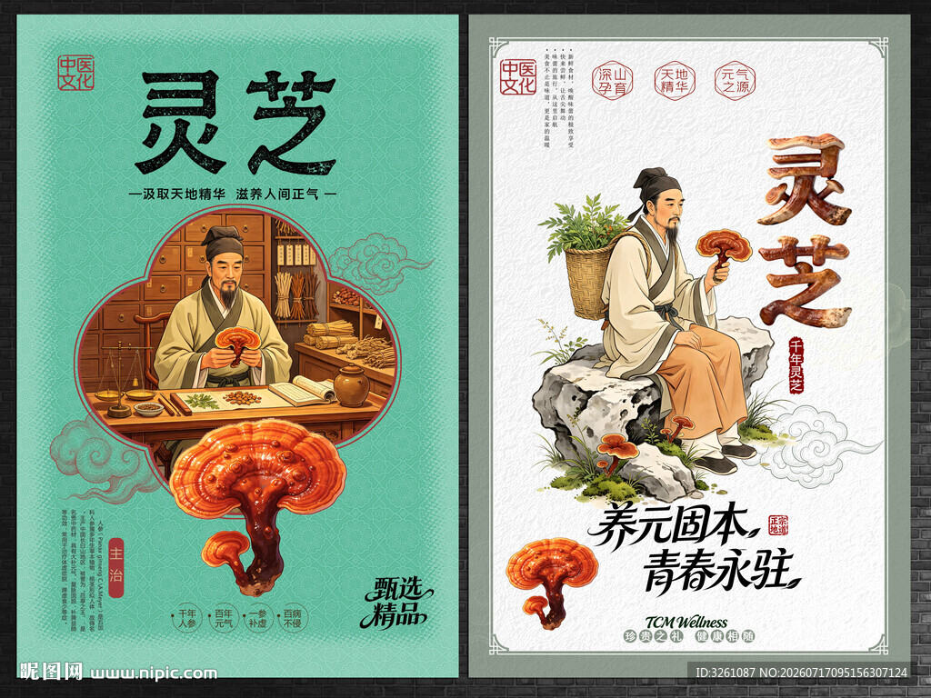 灵芝