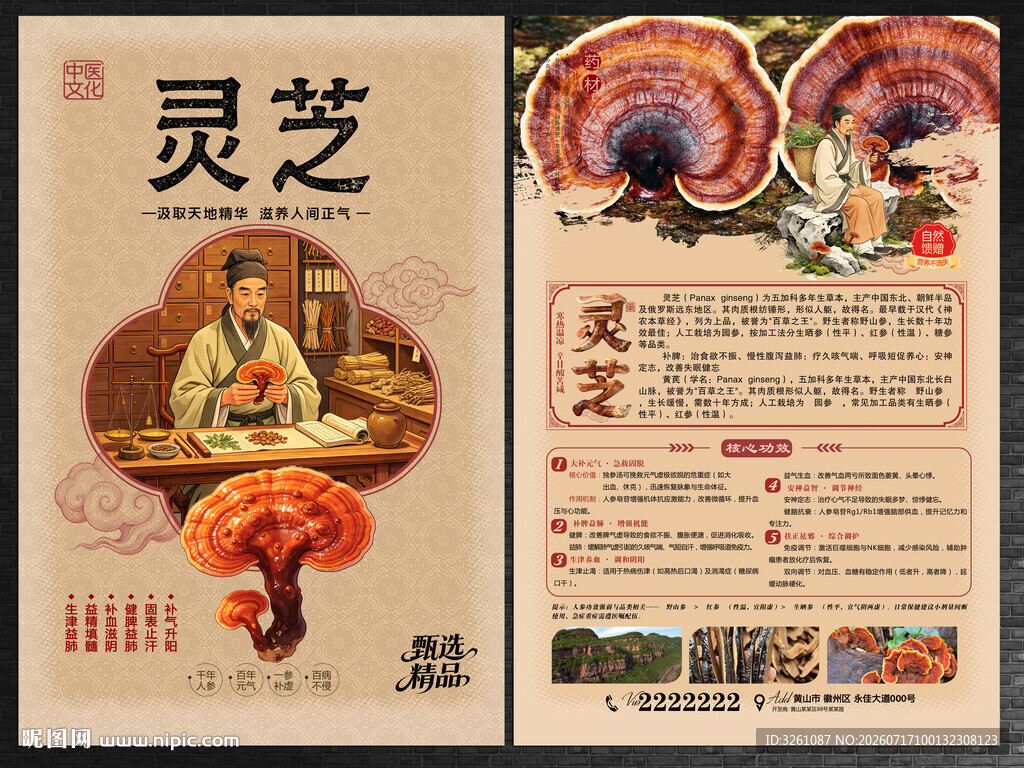 灵芝