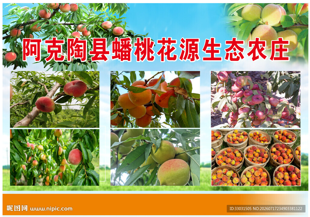 阿克陶县锦瑞桃花源生态农庄