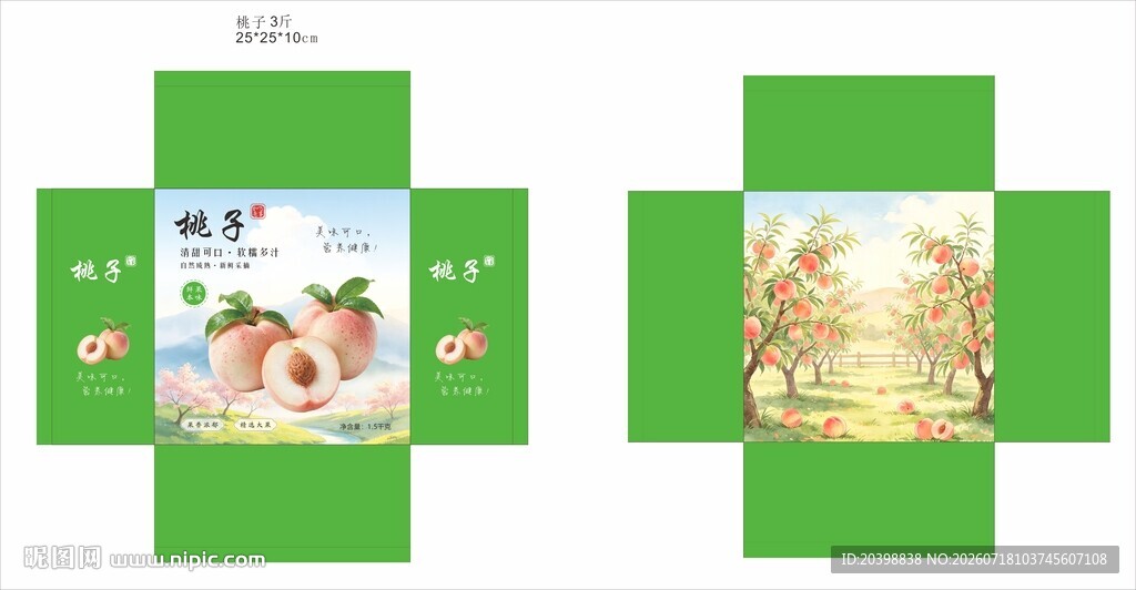 桃子包装