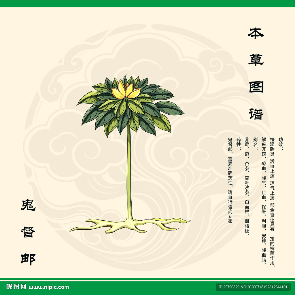 中药鬼督邮