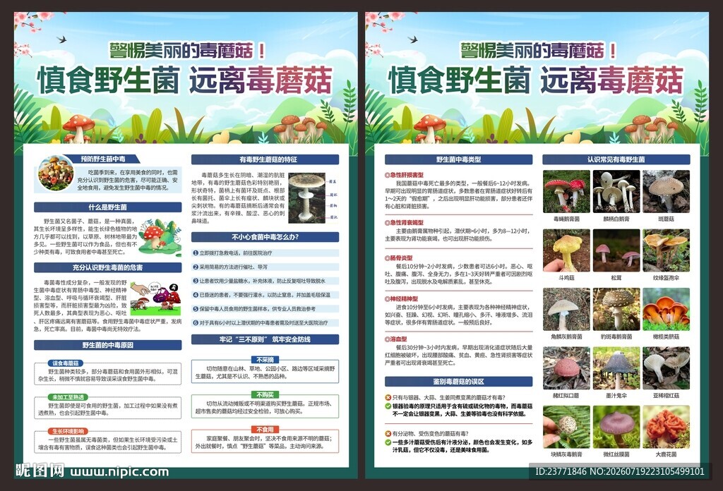 野生菌中毒宣传单