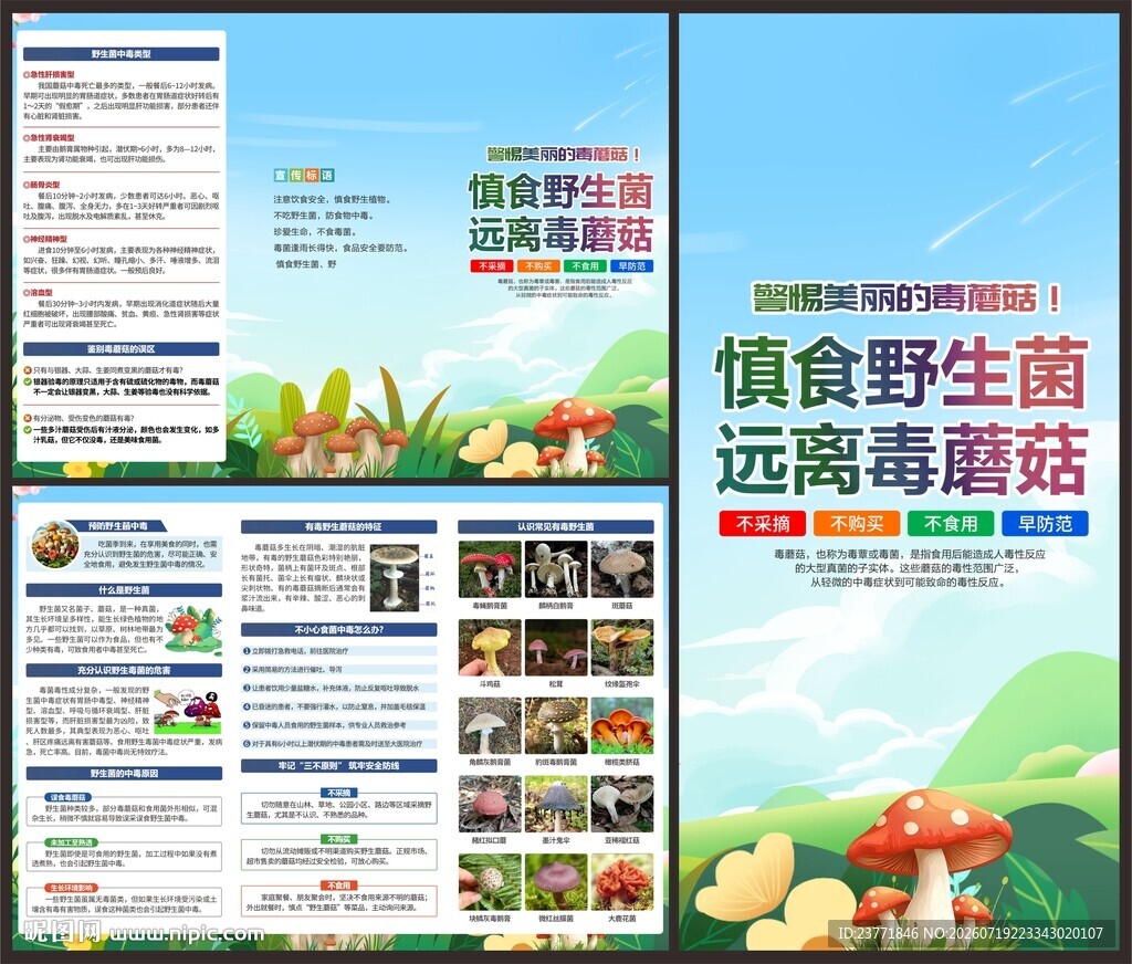 预防野生菌中毒折页