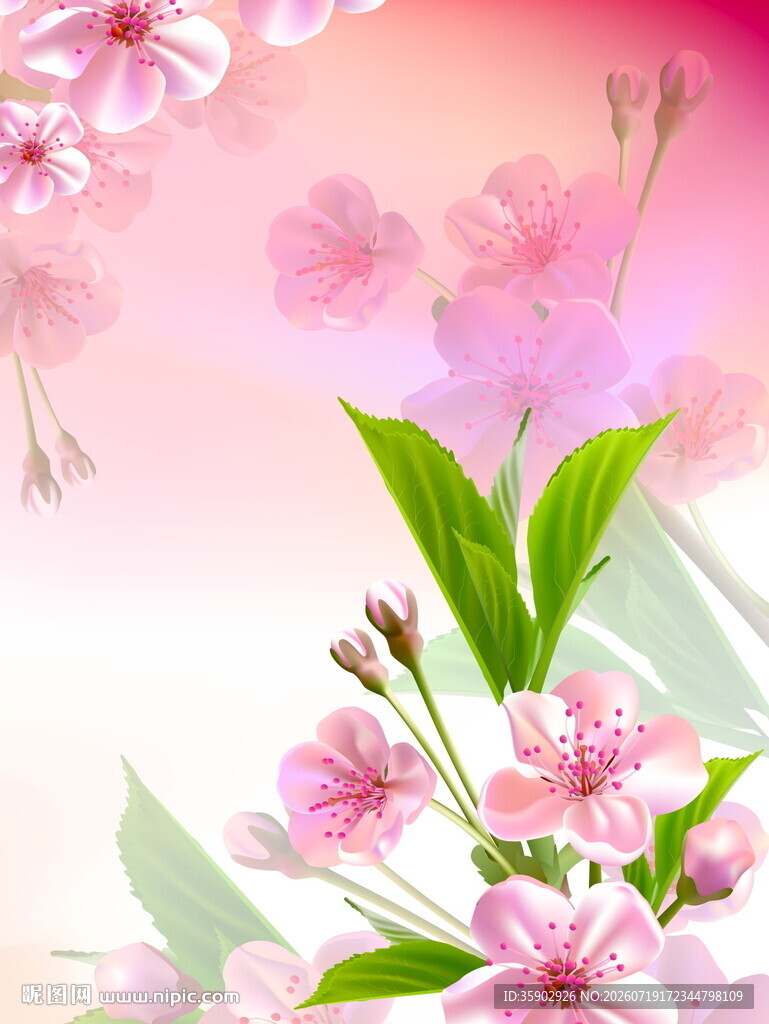 浪漫粉色樱花花卉背景