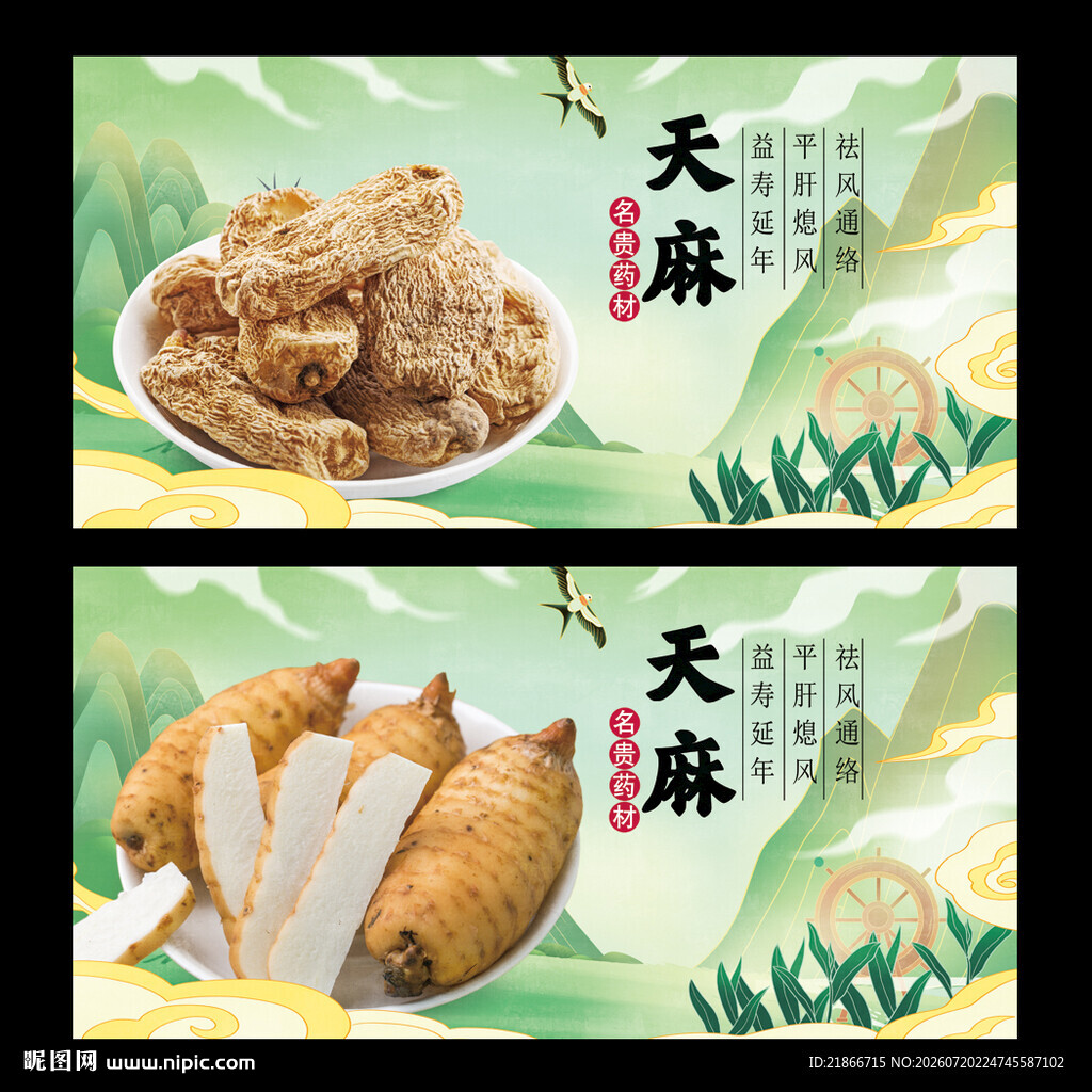 天麻