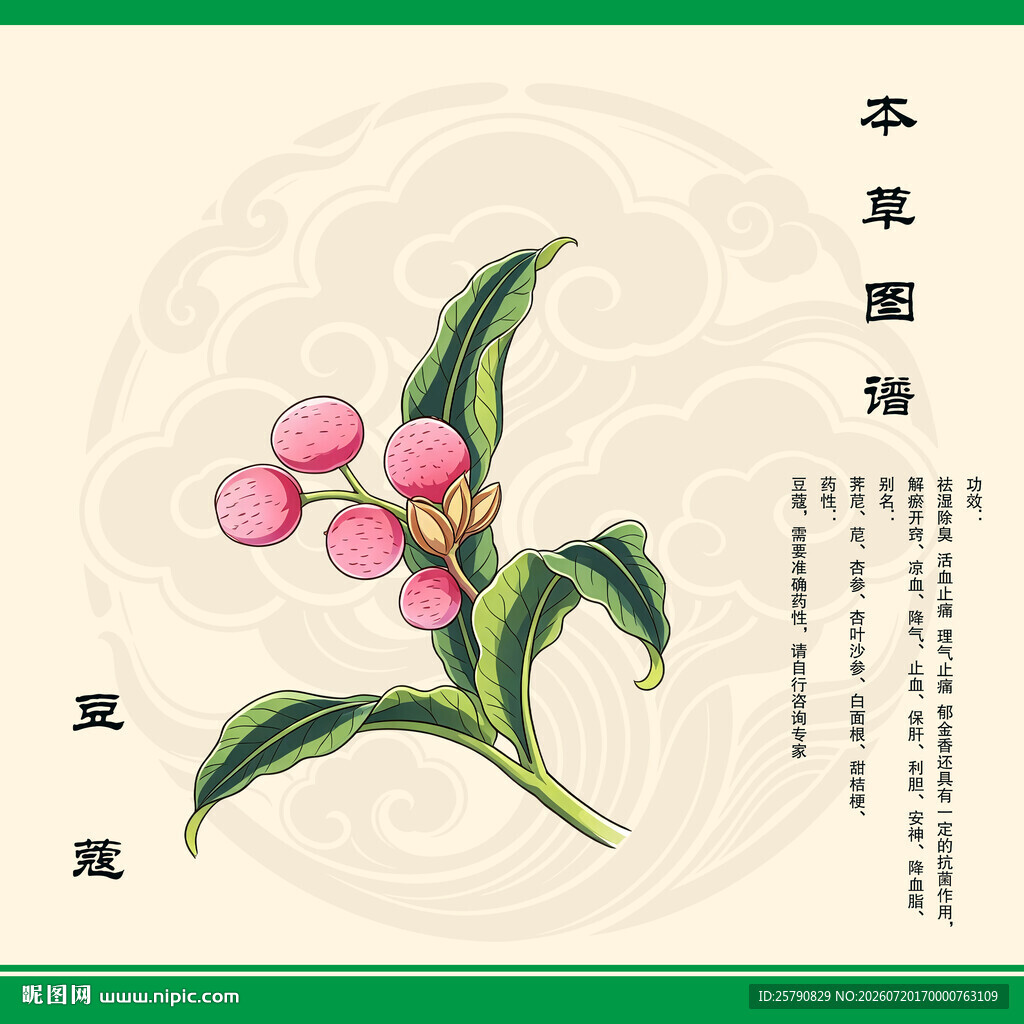 豆蔻本草纲目