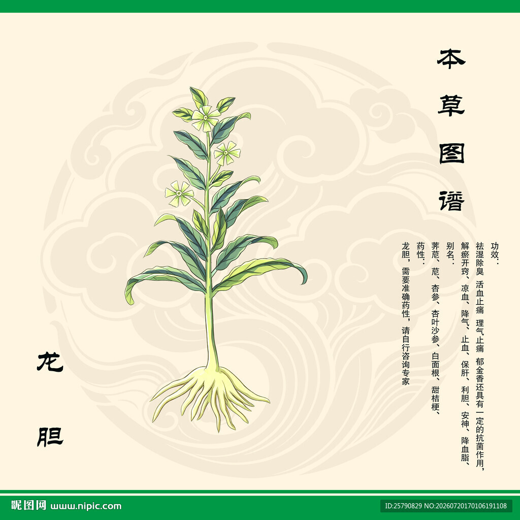 本草纲目龙胆