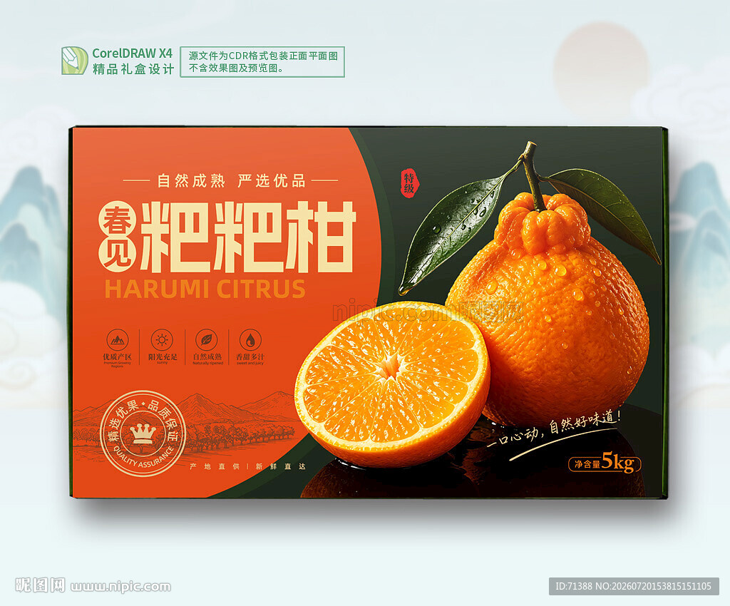 粑粑柑包装 水果礼盒