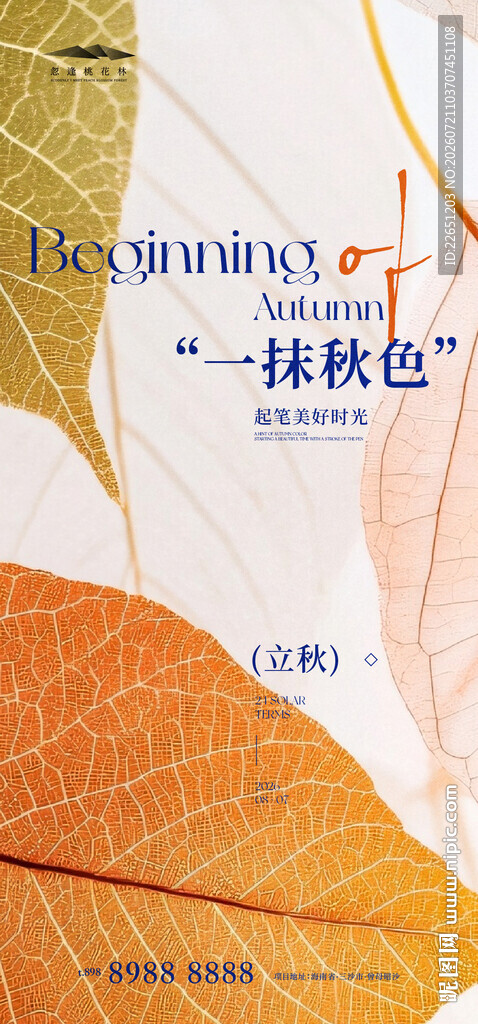 立秋