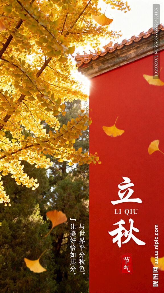 立秋海报红墙前的立秋银杏景致