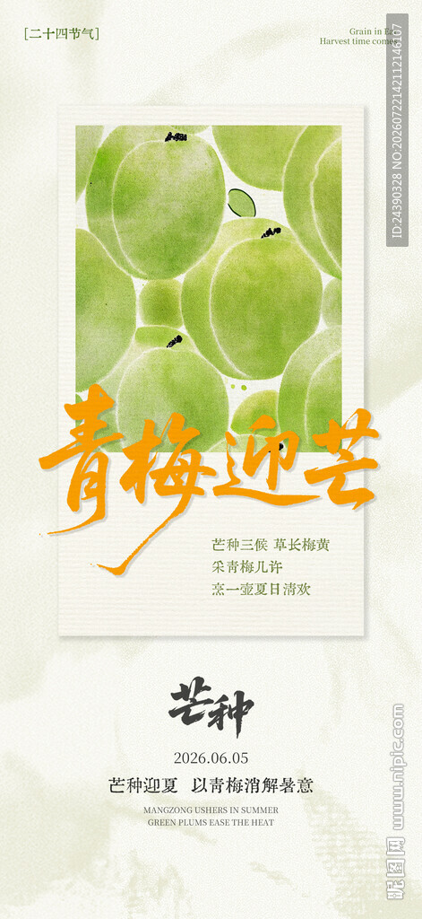 芒种海报