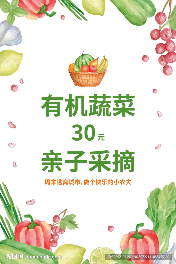 有机蔬菜亲子采摘活动