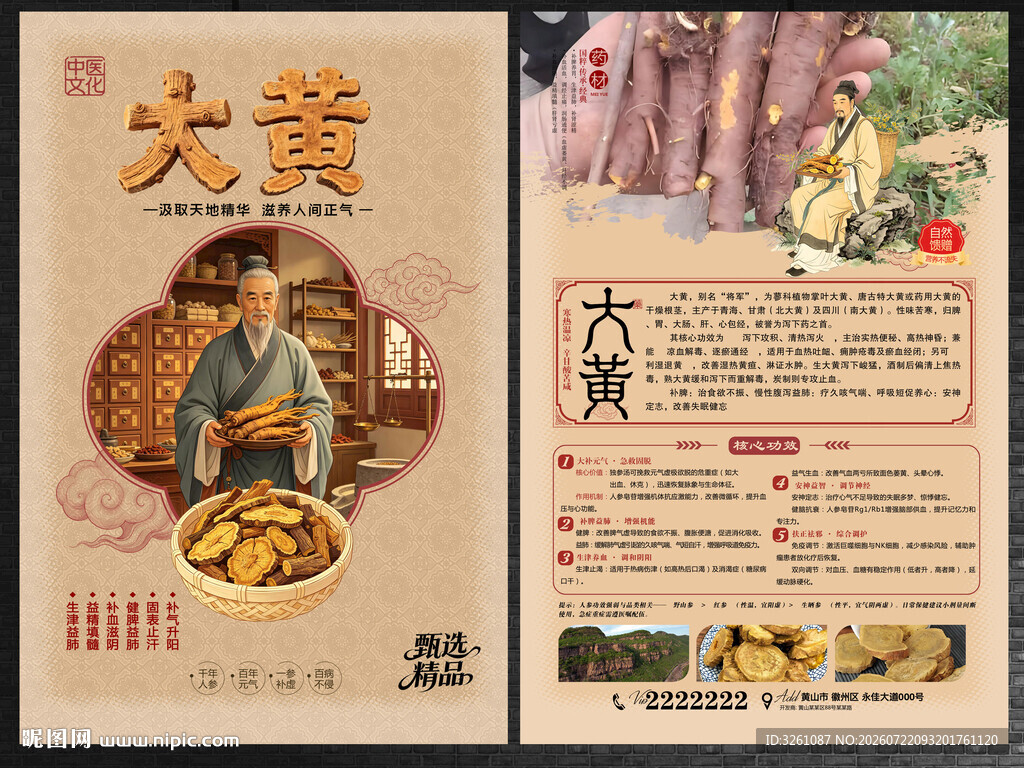 大黄药材