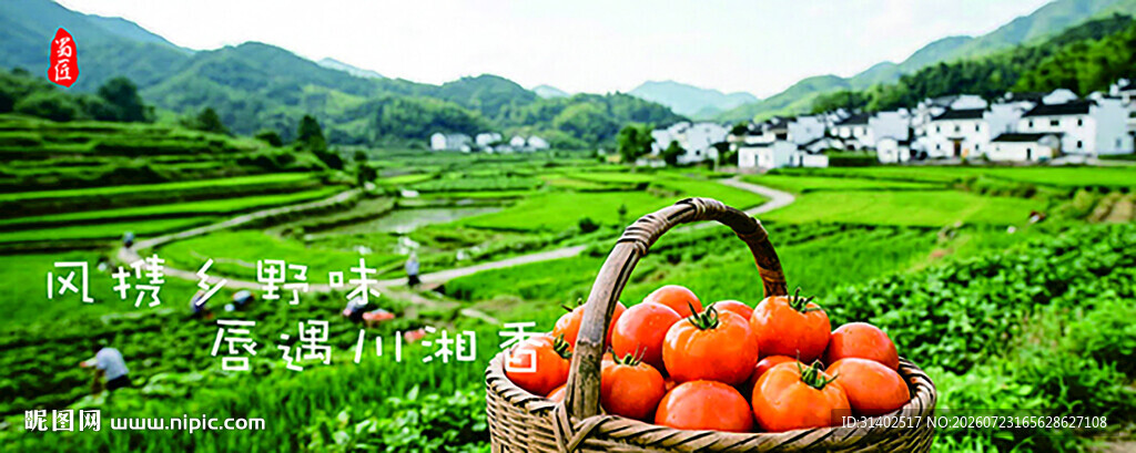 山野风格香菜家乡菜海报