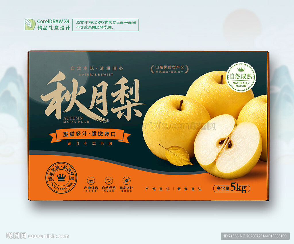 秋月梨礼盒 梨包装