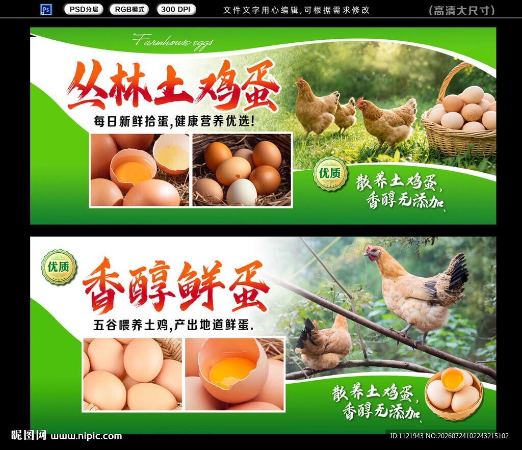 丛林土鸡 