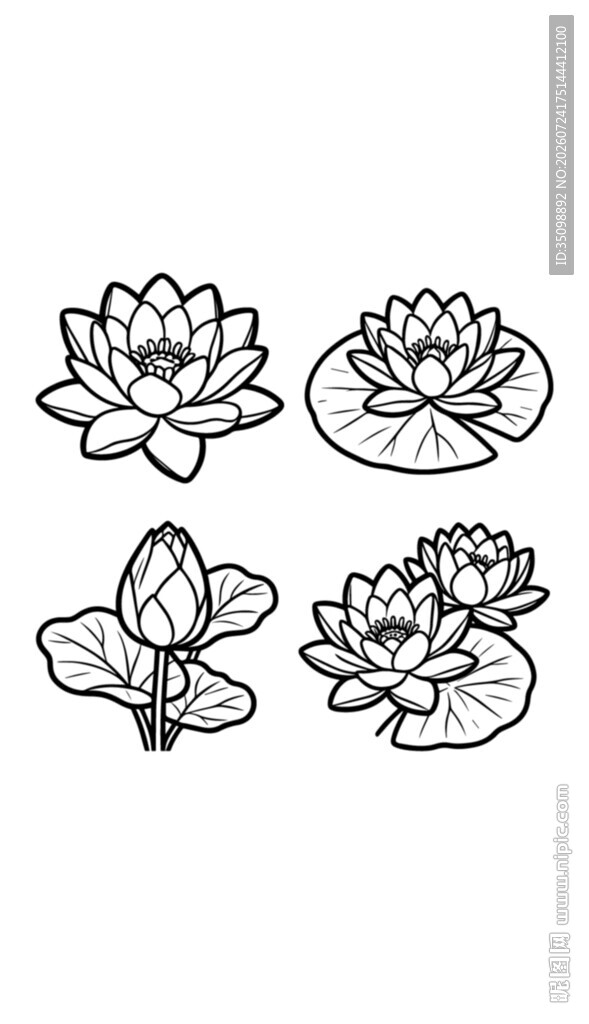 手绘莲花与莲叶图案