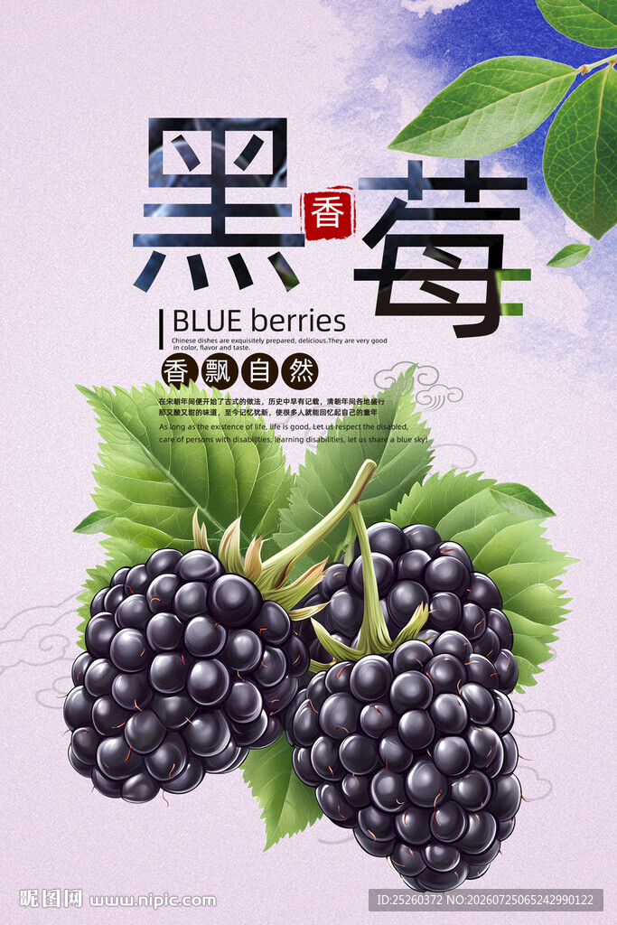 黑莓