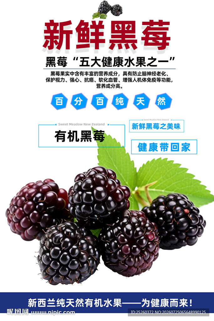 黑莓