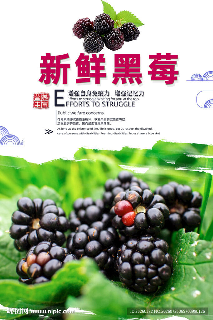 黑莓