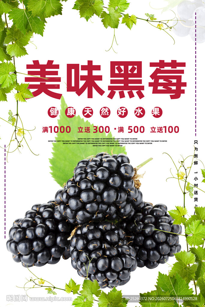 黑莓