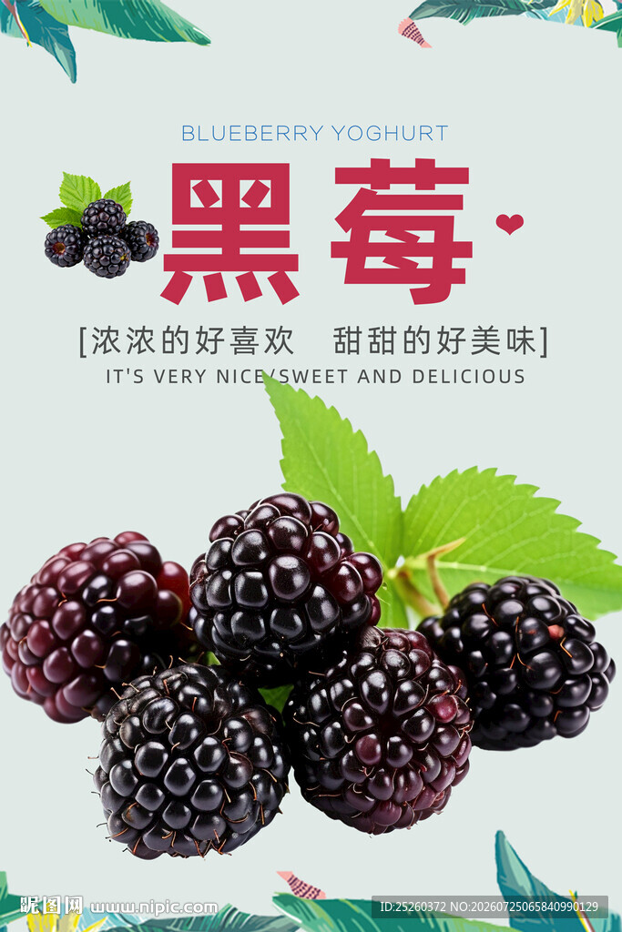 黑莓