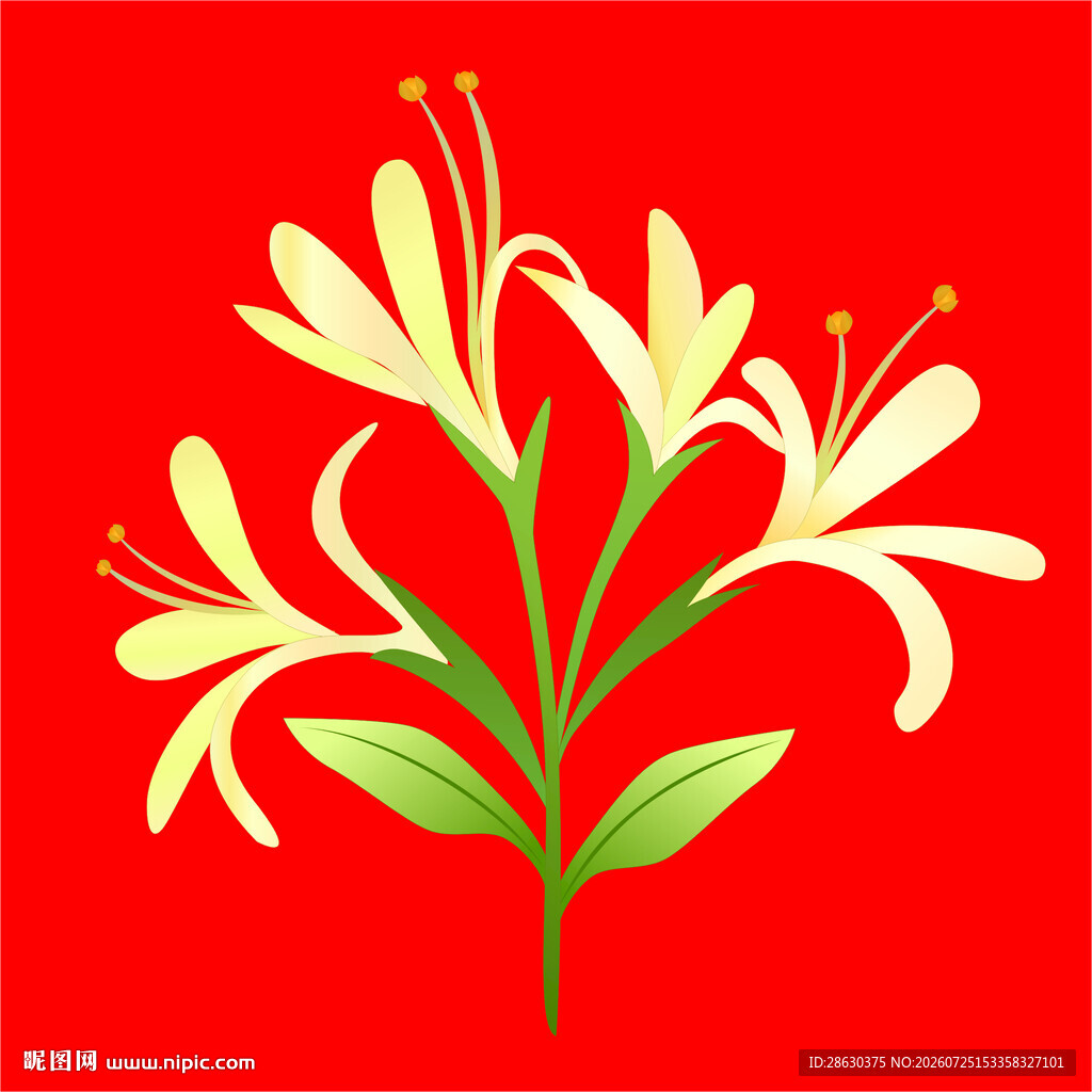 红色背景上的黄色花卉图案矢量花
