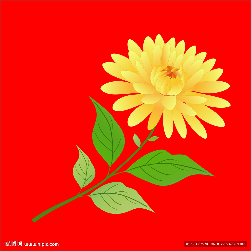 红色背景上的黄色花朵矢量菊花