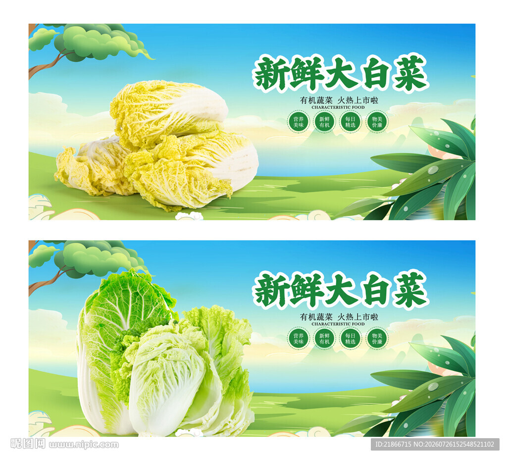 大白菜