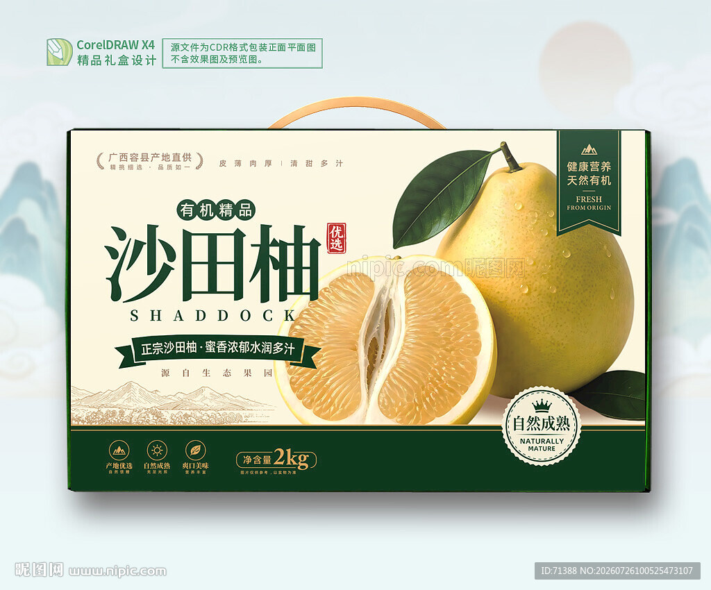 沙田柚包装礼盒