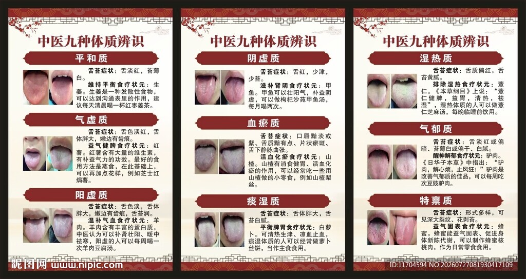 中医九种体质辨识展板