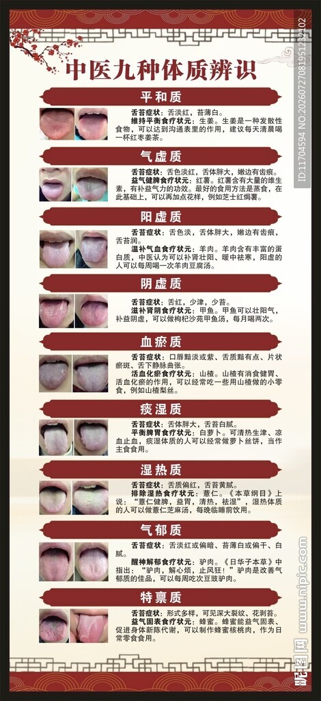 中医九种体质辨识展架